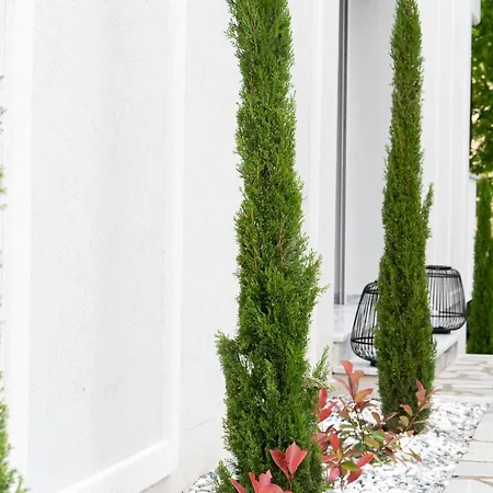 Апартаменты Medusa Luxury Неа-Перамос
